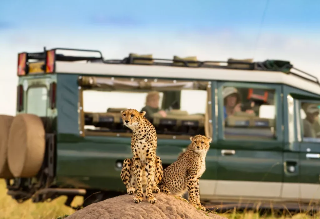 Why Kenya Should Be Your Next Safari Destination