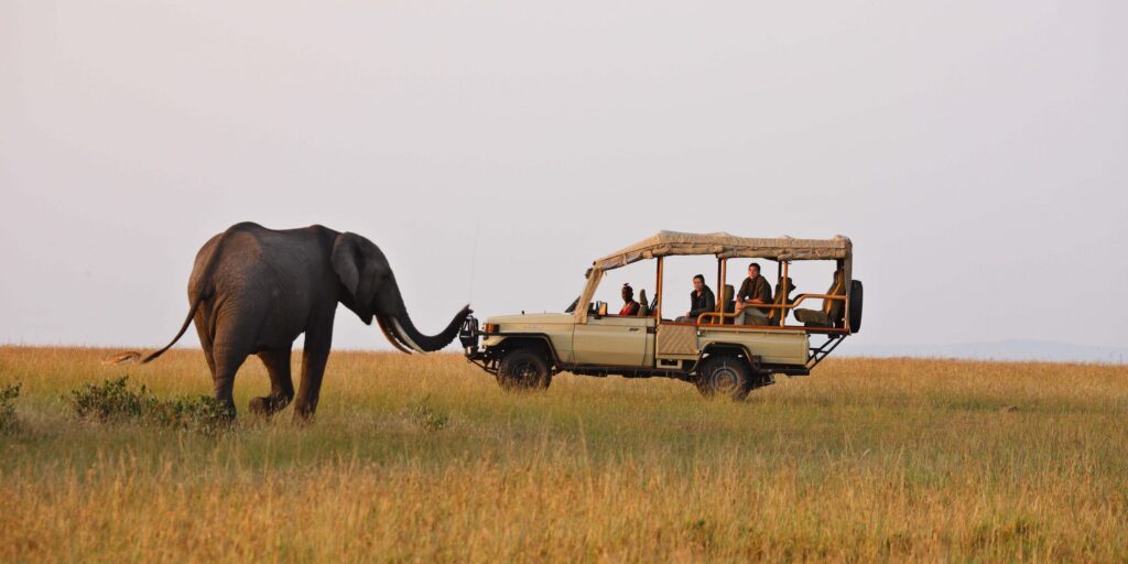 Why Kenya Should Be Your Next Safari Destination